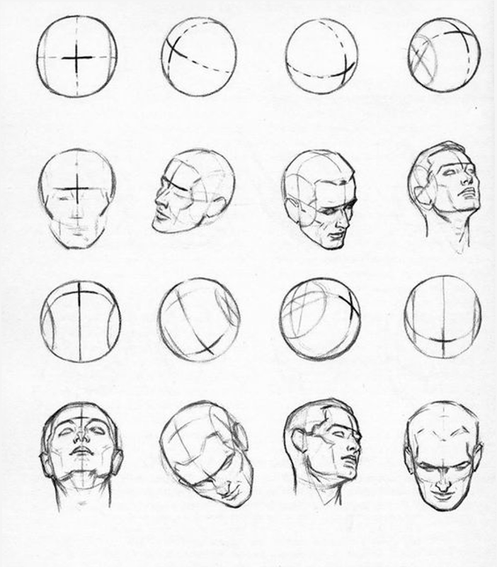 Лицо рисунок поэтапно. Эндрю Лумис построение головы. Эндрю Лумис пропорции головы. Рисование головы по методу Лумиса. Эндрю Лумис рисование лица.
