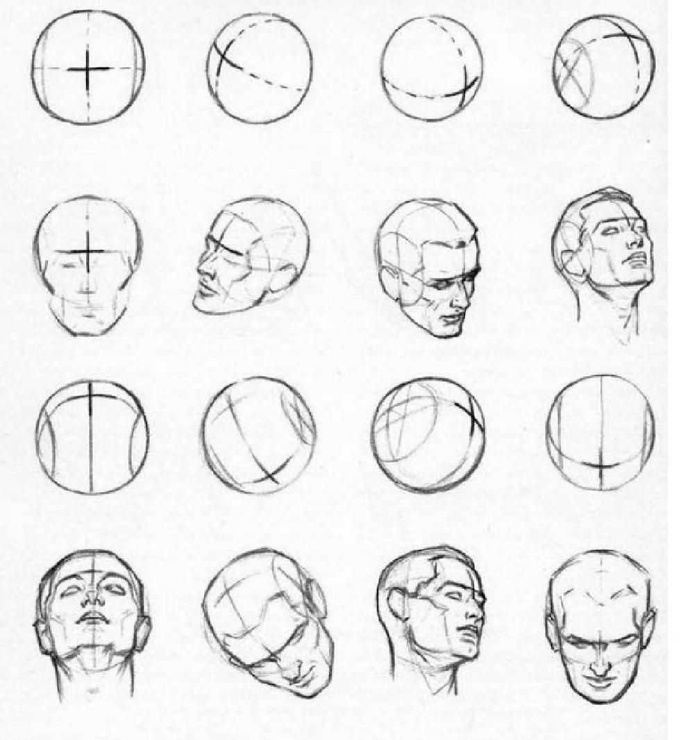 Рисование головы по методу Лумиса