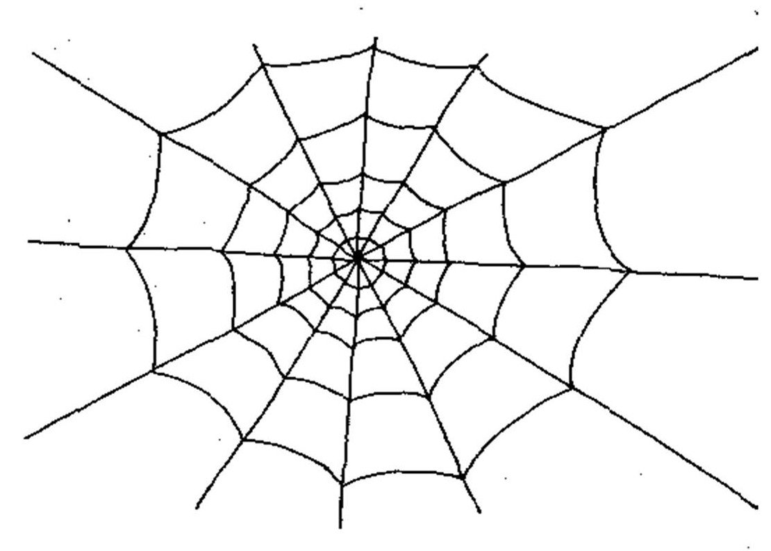 Проективная методика паутина и паук