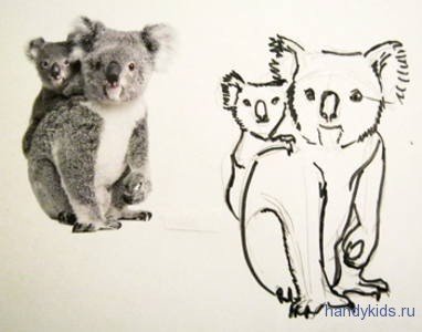 Коала задания для детей