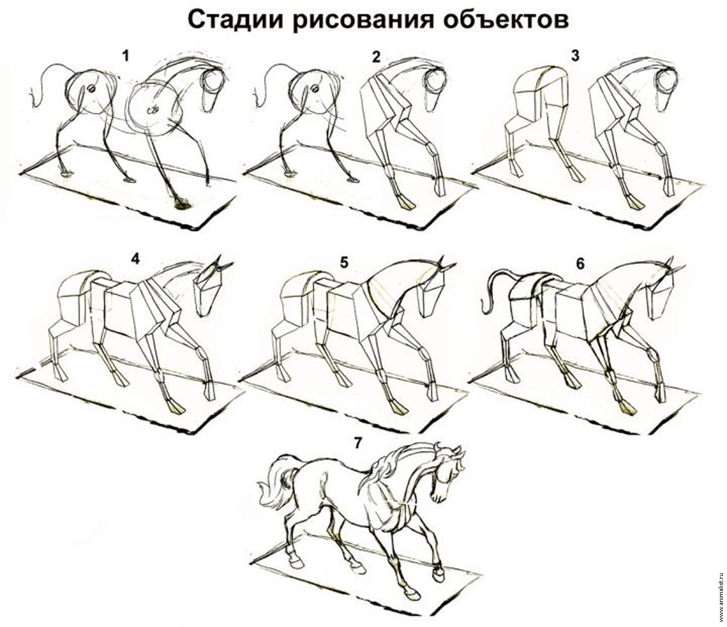 Движение лошади рисунок схема