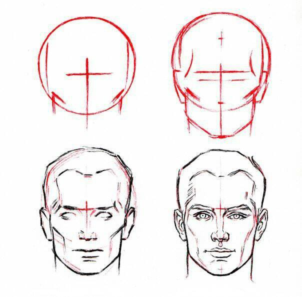 Рисование правильно. Поэтапное рисование лица. Рисование мужской головы. Пошаговое рисование головы. Схема рисования головы человека.