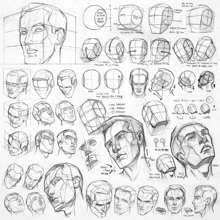 Схемы рисования головы с разных ракурсов