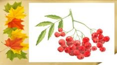 Дорисуй ветку рябины