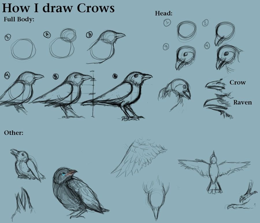 Михаил кудинов как рисовать птицу