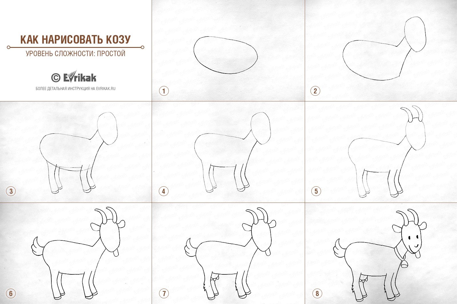 Поэтапное рисование козы для детей