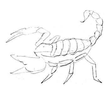 Рисунки скорпиона карандашом для срисовки