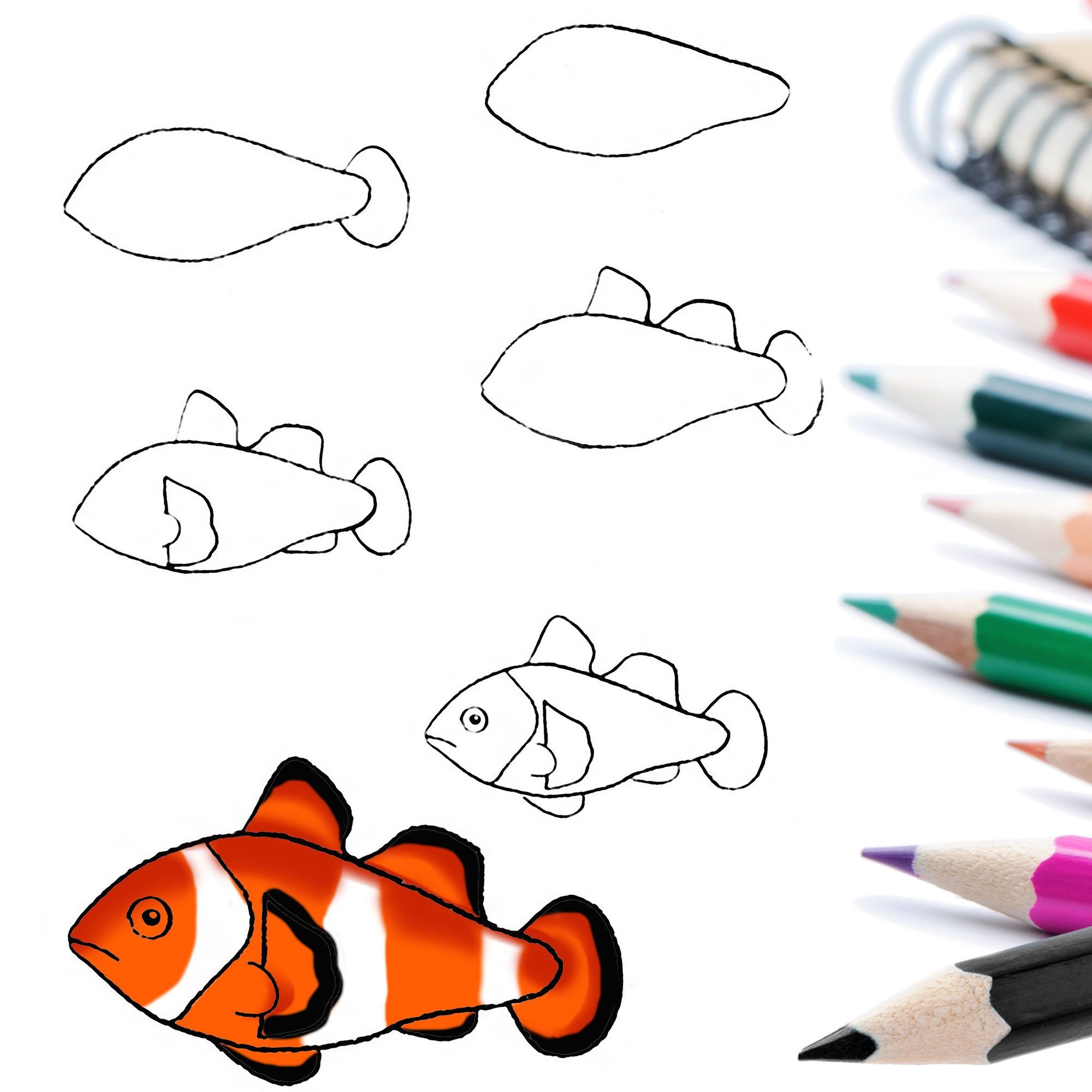 Рисование рыбок карандашами для детей