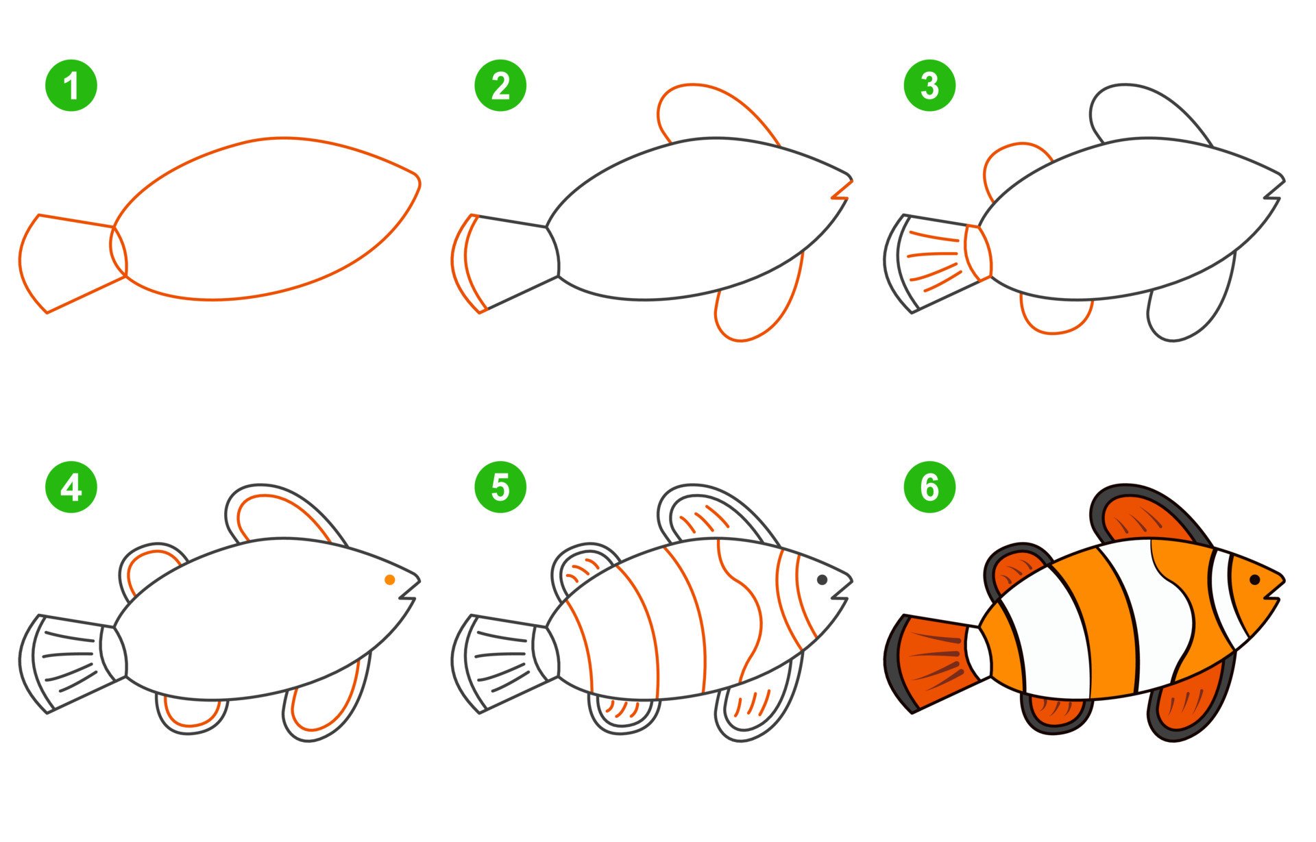 Как нарисовать рыбу клоуна карандашом поэтапно?