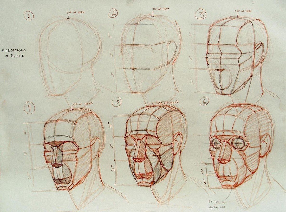 Пропорции черепа Рыжкин