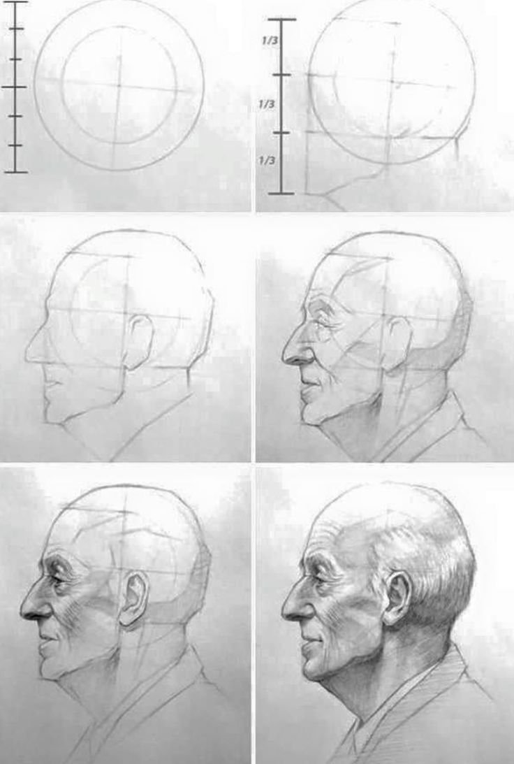 Техника рисования головы сбоку