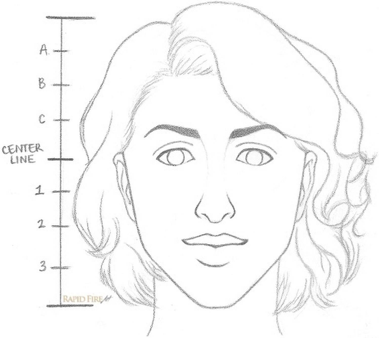 Пропорции лица девушки карандашом