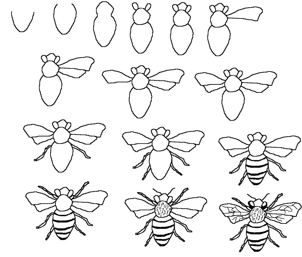 Рисование насекомые. Рисование с детьми насекомые. Насекомые для дошкольников рисование. Поэтапное рисование насекомых для дошкольников. Раскраска поэтапно
