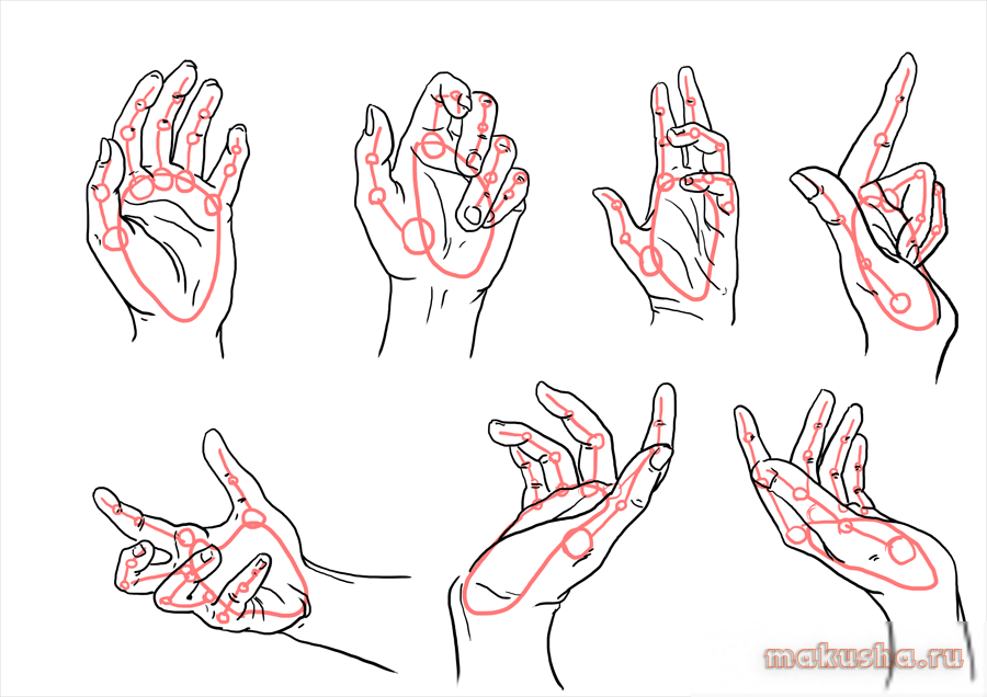 Как нарисовать пальцы поэтапно. Руки для рисования. Уроки рисования рук. Схема рисования рук. Поэтапный рисунок руки.