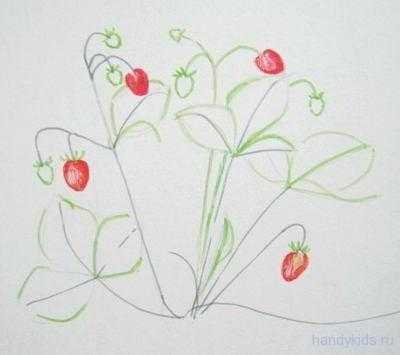 Клубника поэтапно