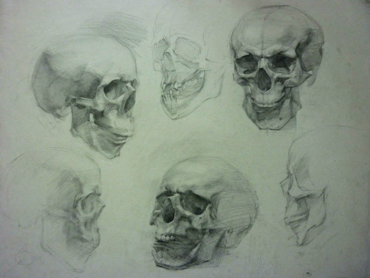Конструктивное рисование черепа