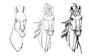 Уроки рисования для начинающих