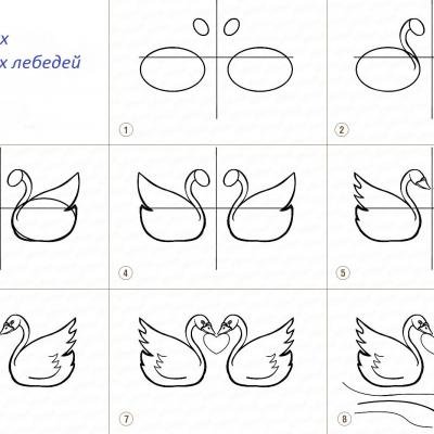 Как нарисовать лебедя