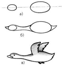 Лебедь рисунок пошагово для детей