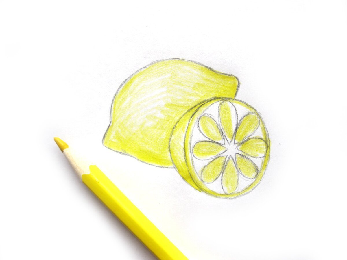 Лимон для срисовки легкие