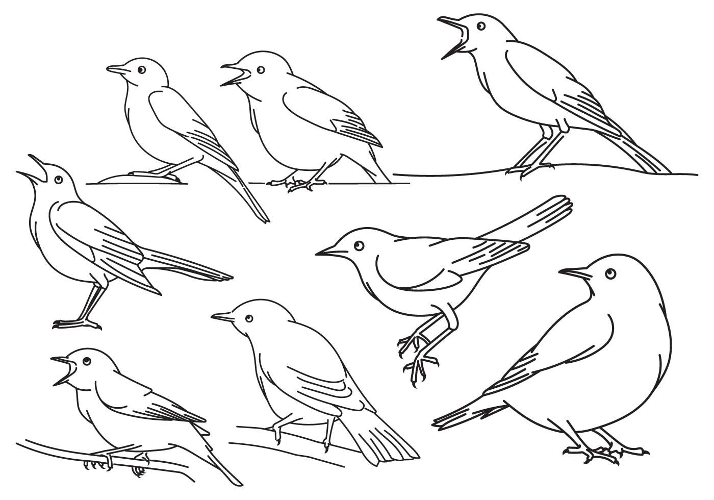 Схематичное изображение птицы