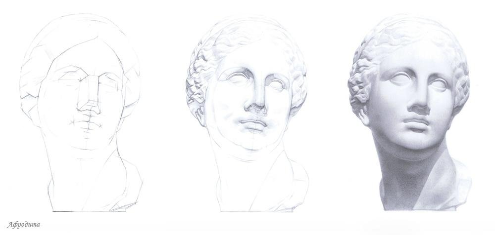 Как рисовать гипсовую голову венеры