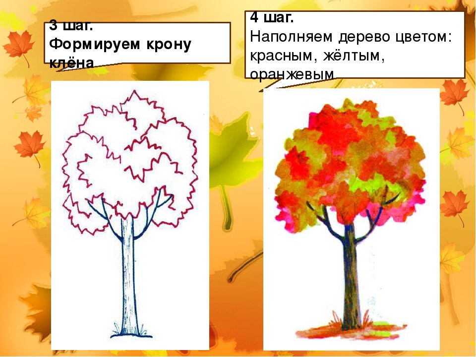 Рисуем дерево поэтапно презентация 1. Этапы рисования дерева. Дерево для рисования. Поэтапное рисование осеннего дерева. Поэтапное рисование дерева для дошкольников.