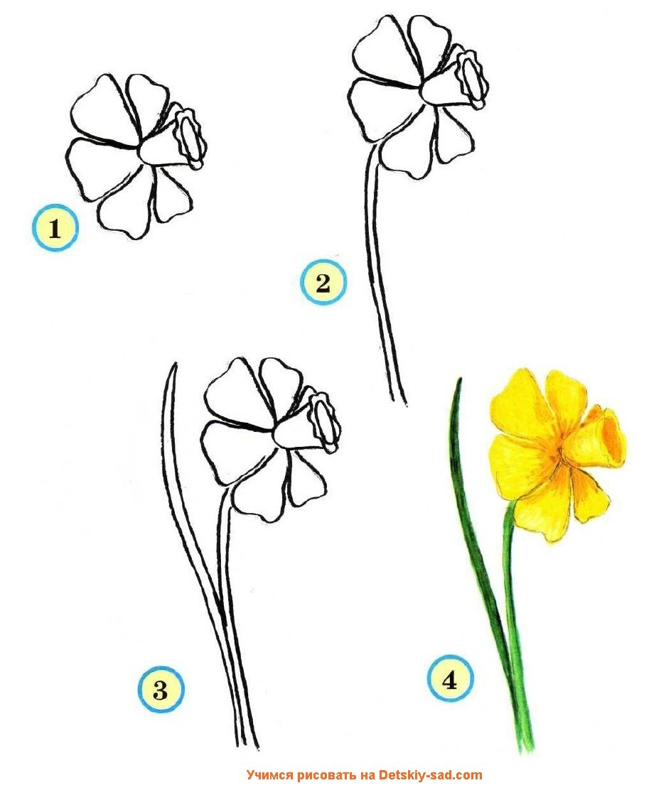 Простые цветы для рисования
