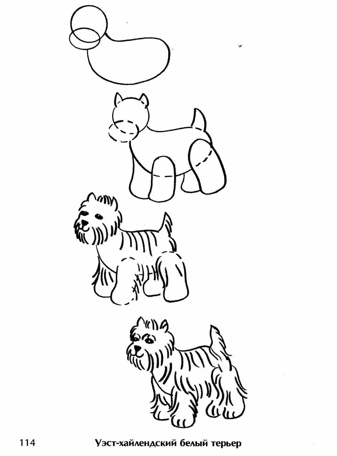 Детский рисунок собаки карандашом