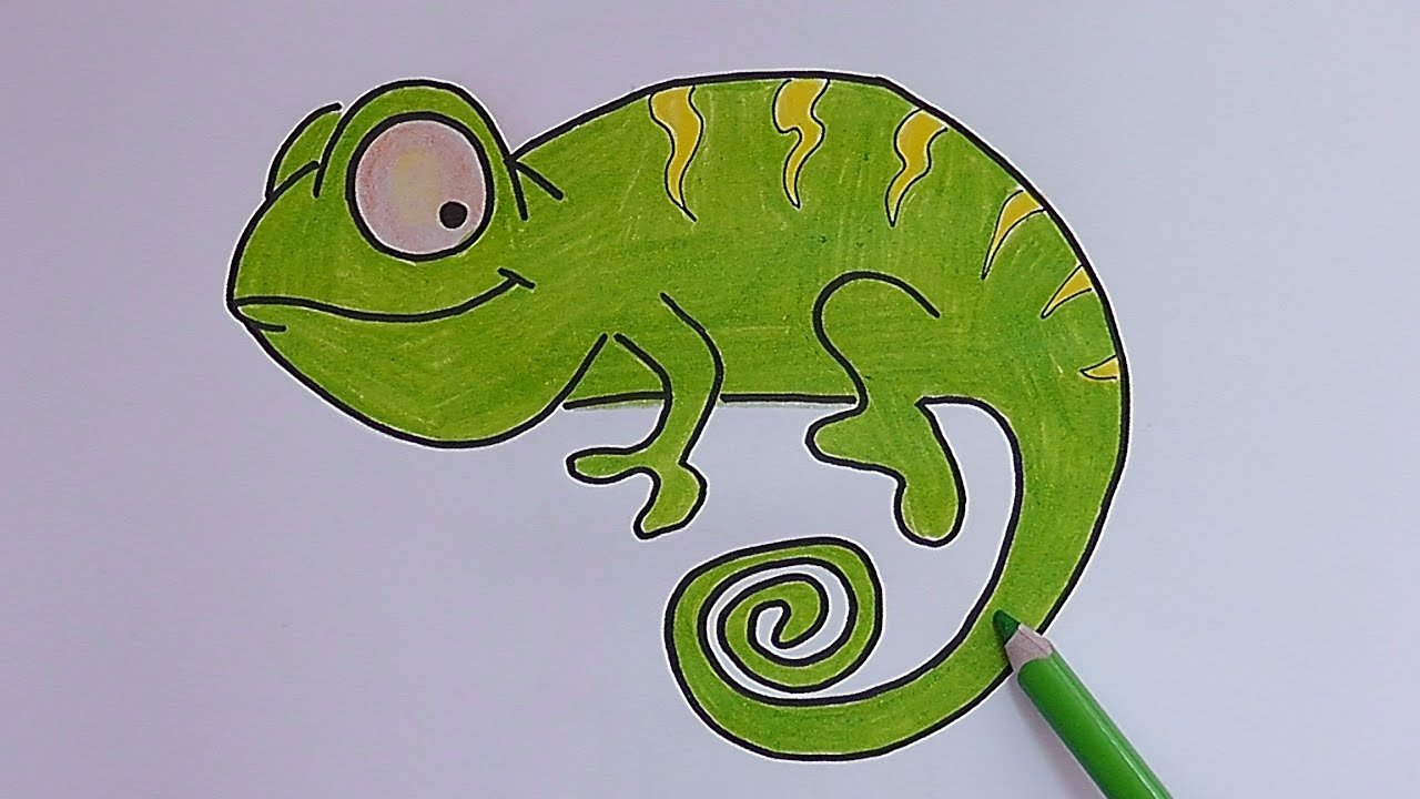 Легкие хамелеона. Хамелеон рисунок для детей. Игуана рисунок. Хамелеон поэтапное рисование. Хамелеон раскраска для детей.