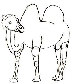 Схема рисования животных в подготовительной группе