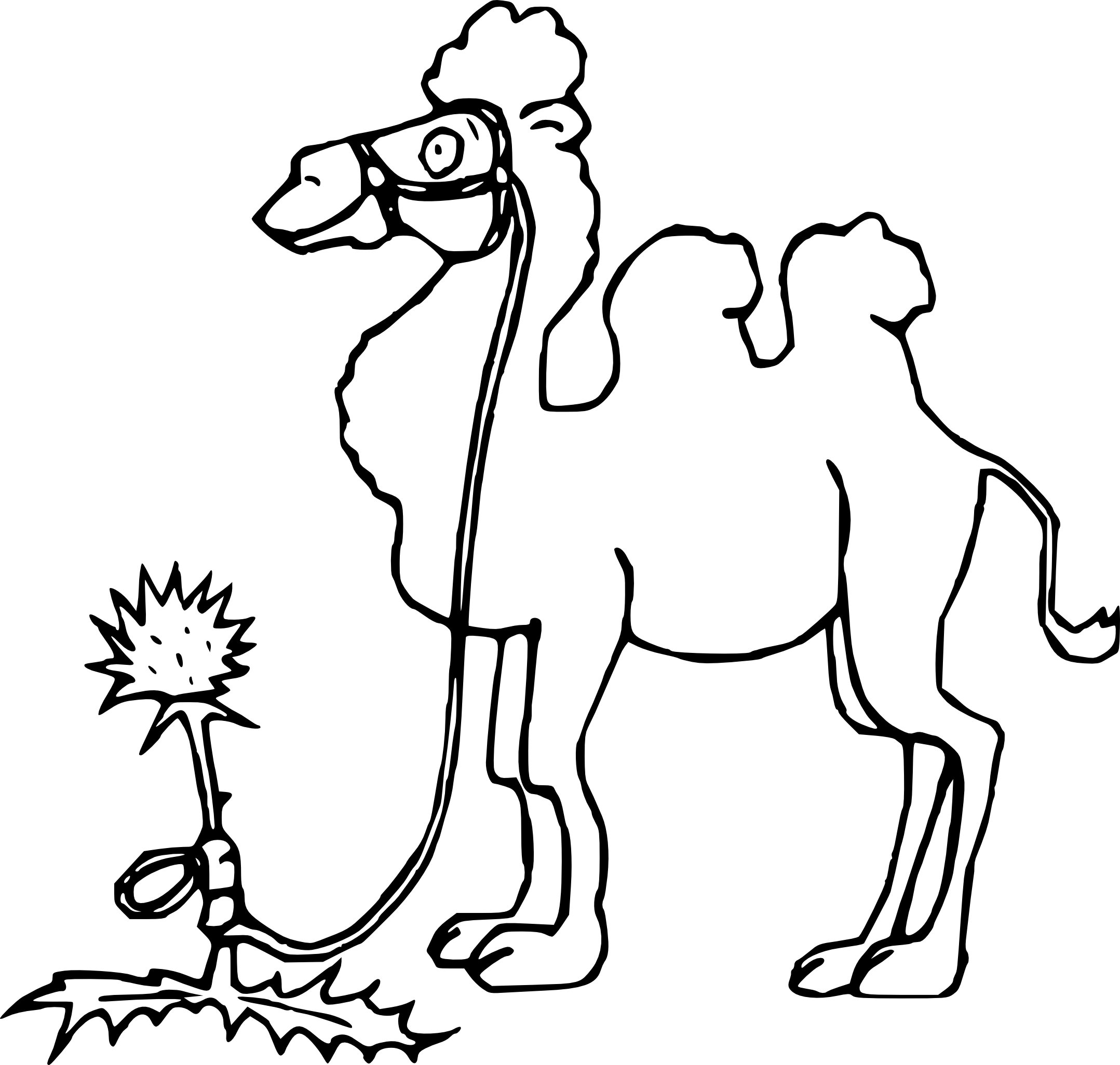 Верблюд раскраска