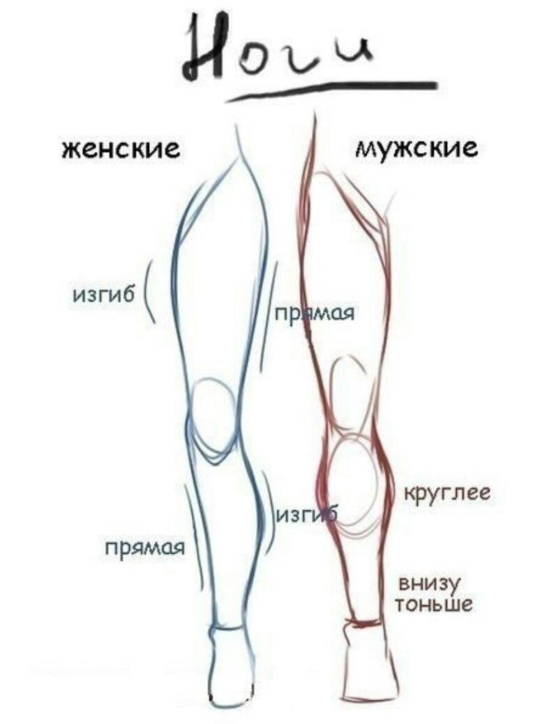 Рисование женских и мужских ног