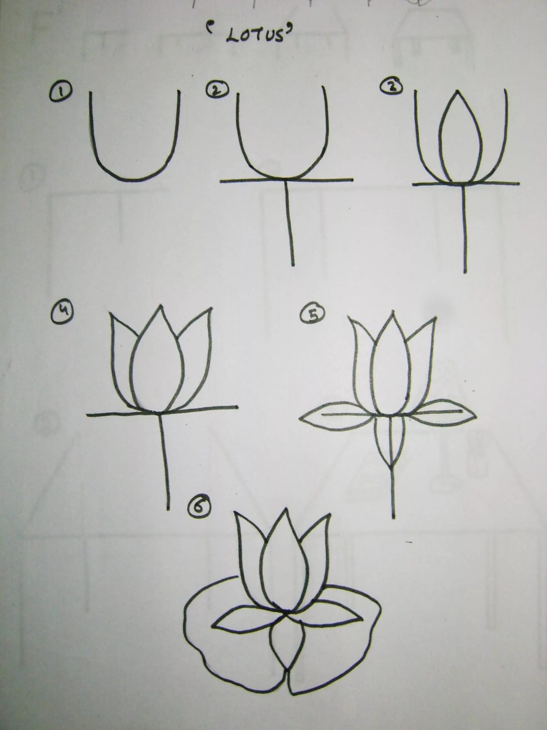 Пошаговое рисование цветы