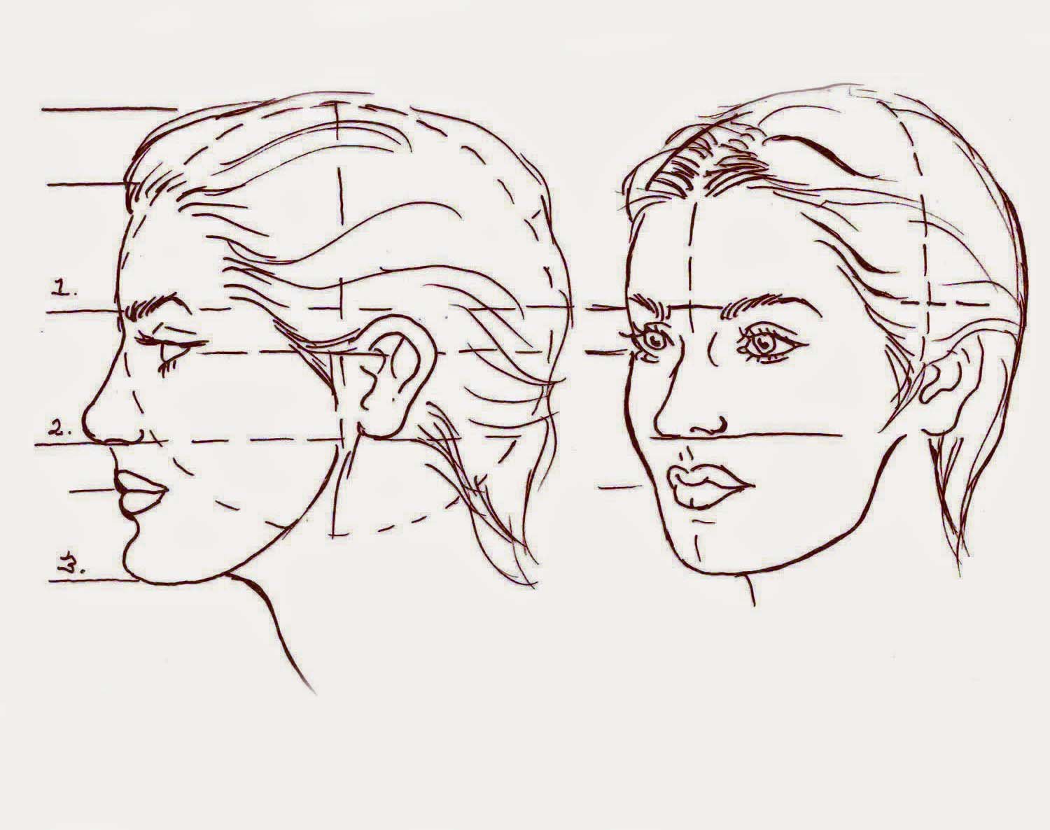 Рисунок лица 1 3. Пропорции лица человека профиль и анфас. Портрет человека профиль анфас рисунок. Рисование лица в профиль. Лицо человека с боку.