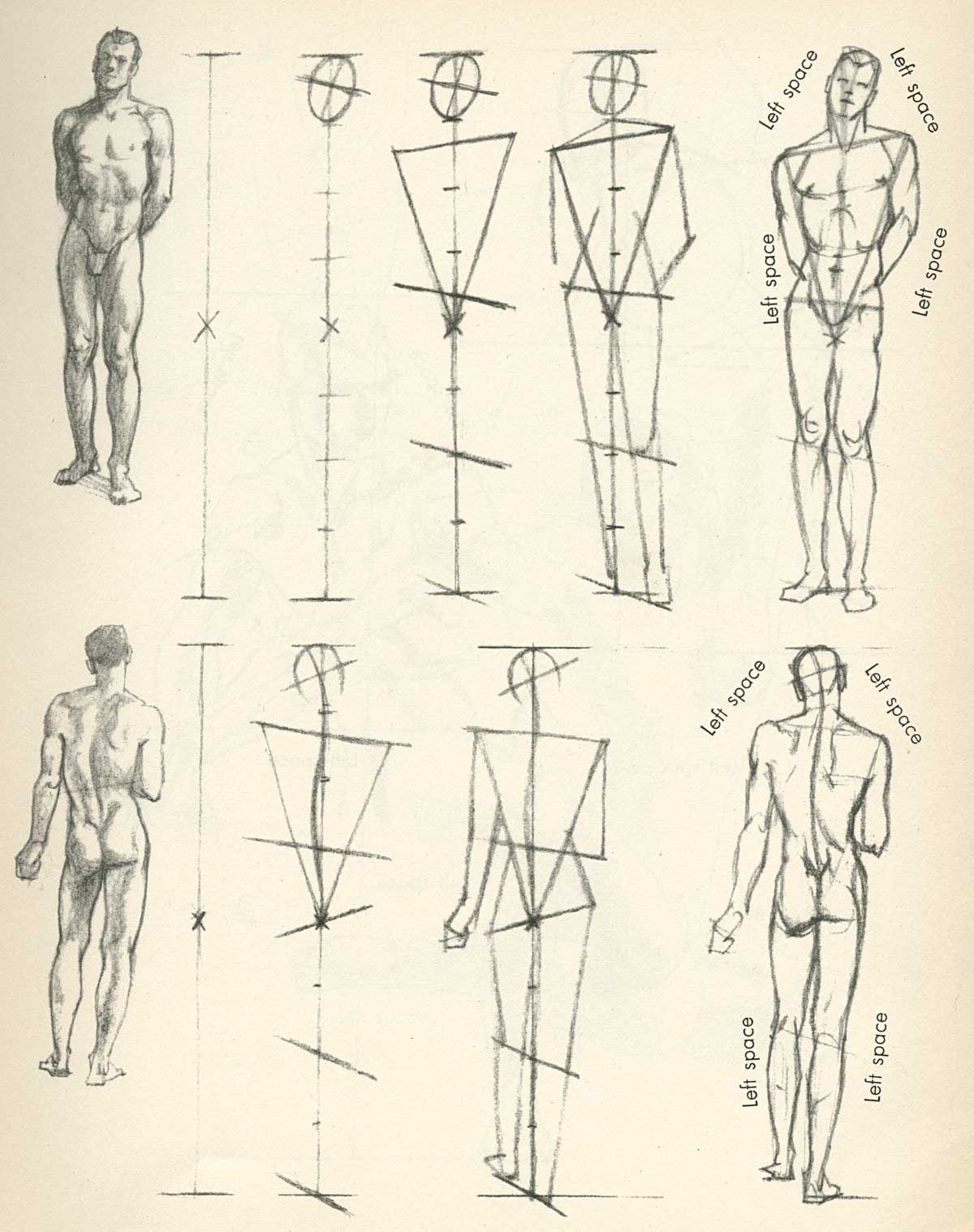 Фигура человека рисунок Академический пропорции