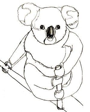 Рисунок куала поэтапно (49 фото)