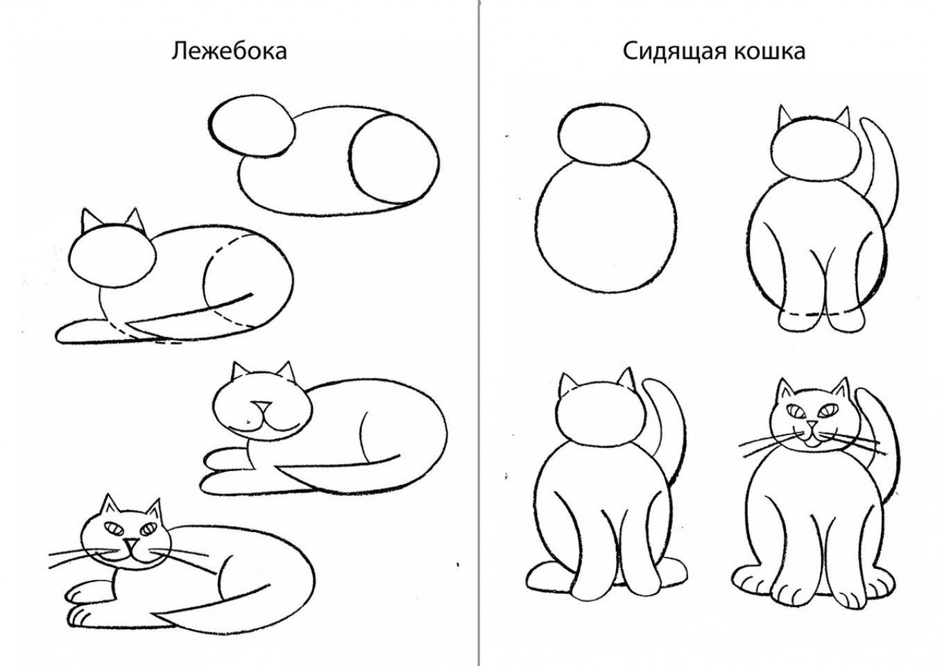 Нарисовать кошку поэтапно для детей. Схема рисования кошки. Поэтапное рисование кошки для дошкольников. Поэтапный рисунок кошки. Схема рисования кошки для детей.