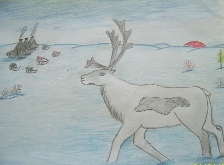 Детский рисунок тундры