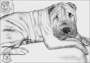 Элеонора Кеслер шарпей