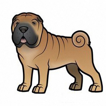 Нарисовать шар-пей голова карандашом линиями