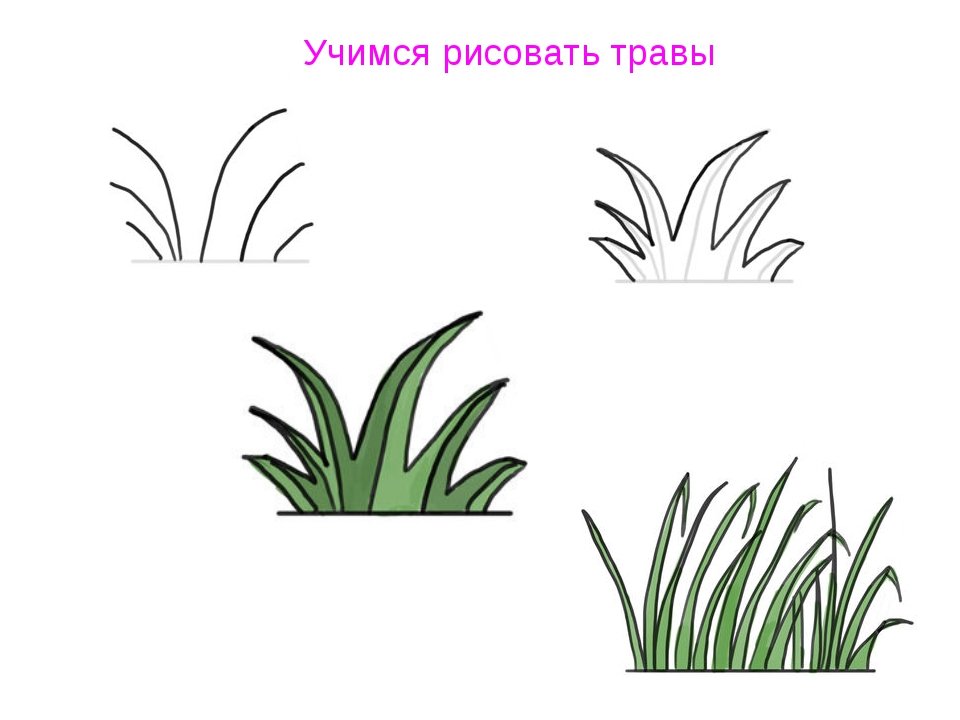 Как поэтапно нарисовать камыши поэтапно