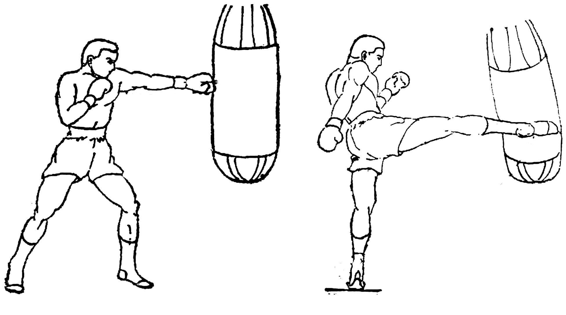Рисовать бокс
