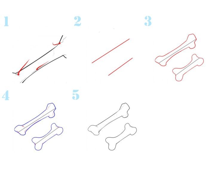 Как нарисовать косточку