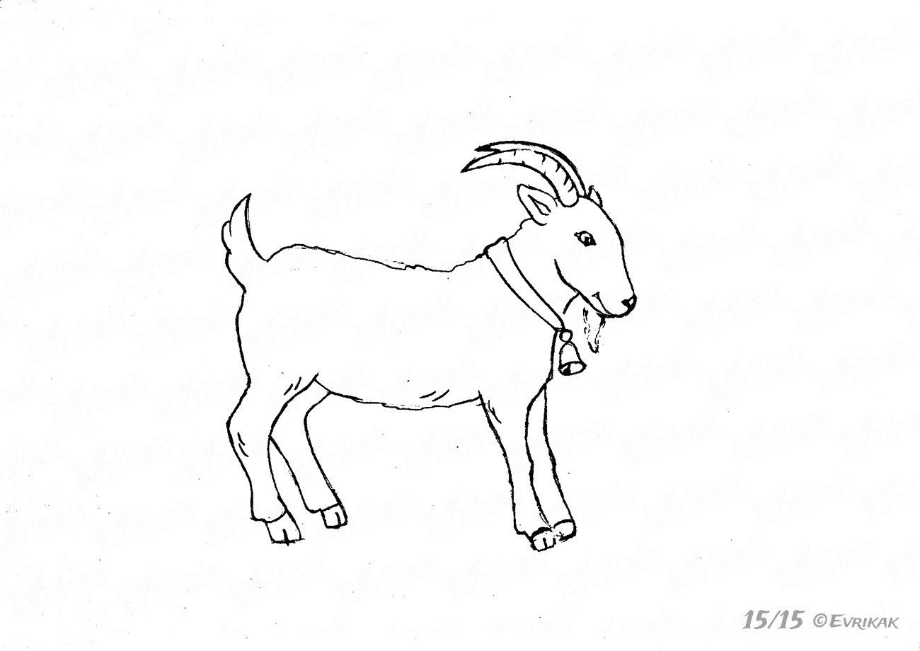Рисование козлятки выбежали погулять на зеленый лужок. Коза рисунок. Козлик рисунок. Козленок рисунок. Рисование козлика.