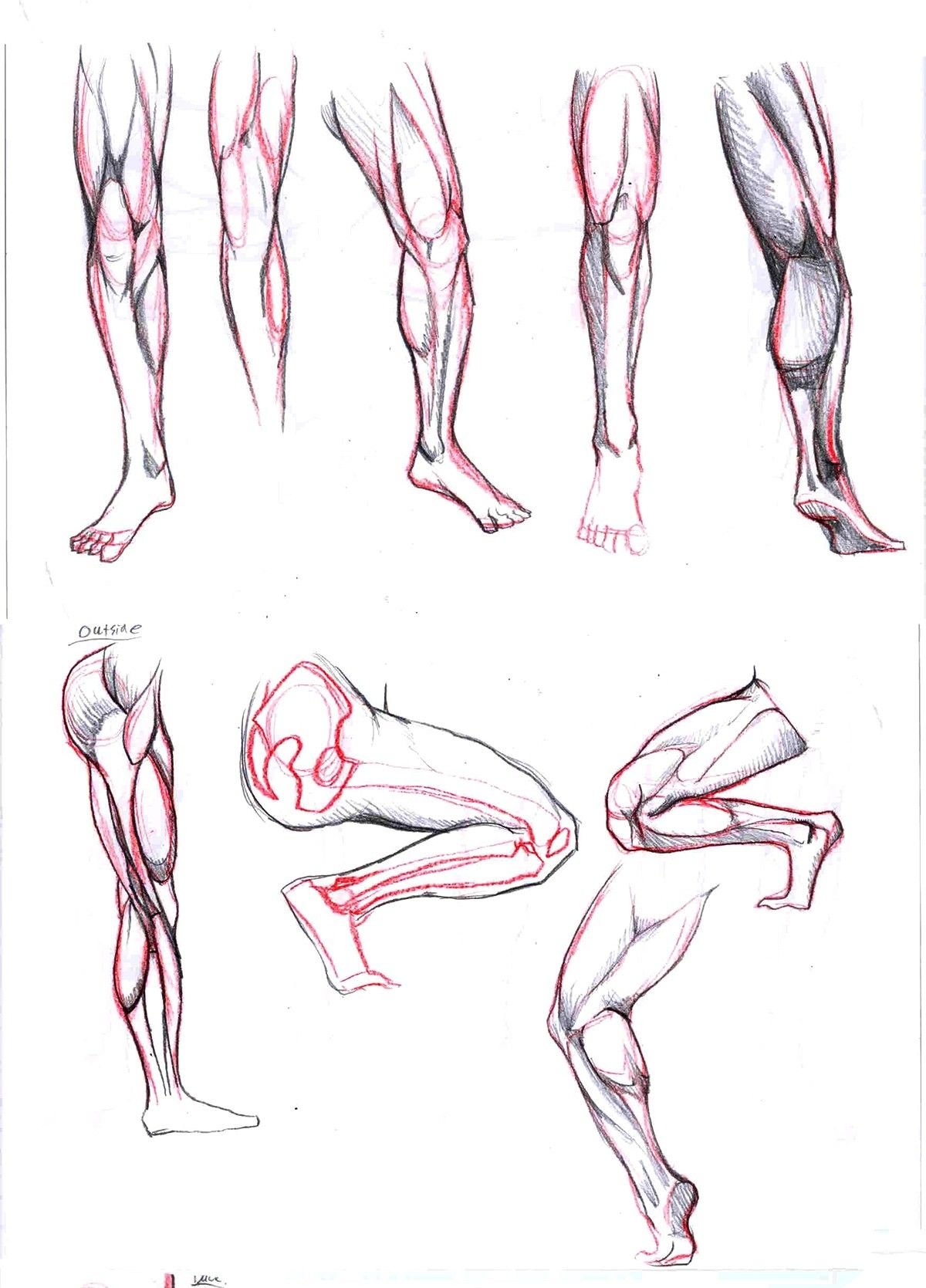 Ноги мужчины рисунок. Ноги мужские анатомия референс. Мышцы ног референс. Ноги мужские референс мышцы. Мышцы ног анатомия референс.