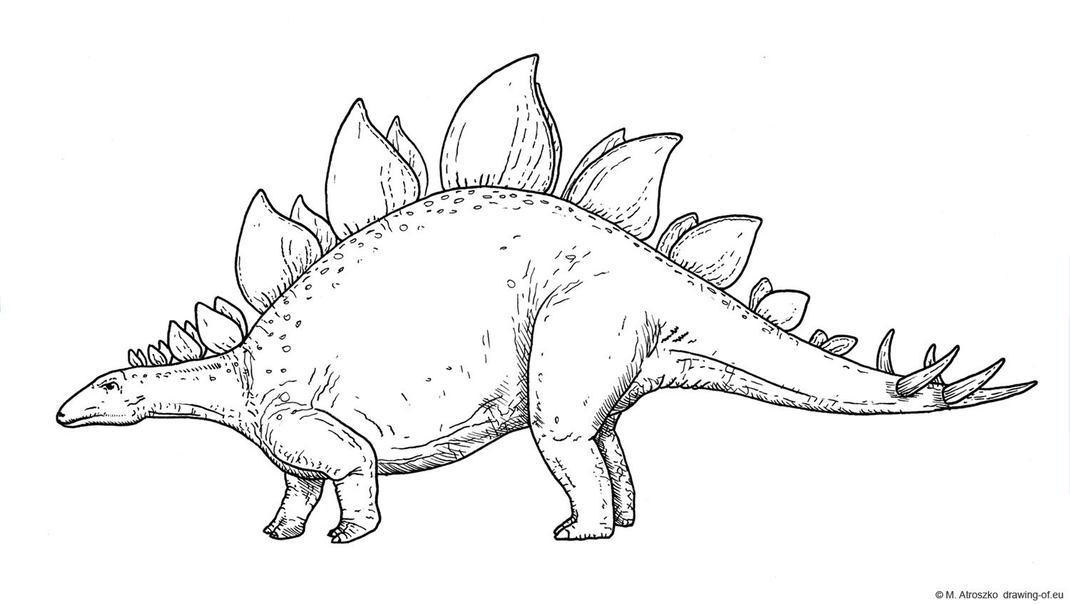 Стигозозавр раскраска для детей