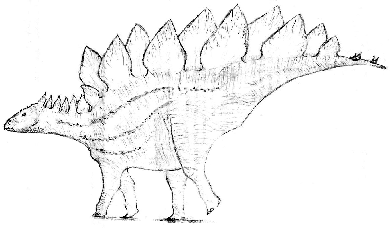 Стегозавр нарисовать карандашом