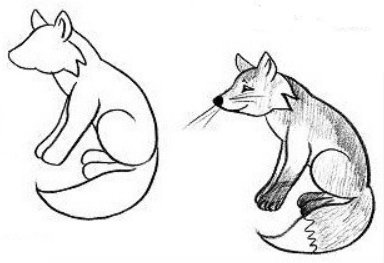 Лисенок рисунок карандашом вид сзади
