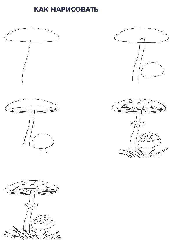 Грибы поэтапно. Поэтапное рисование гриба. Гриб рисунок для детей карандашом. Гриб рисунок поэтапно. Как нарисовать гриб.